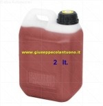 OLIO IDRAULICO TANICA DA 2LT Agip A22